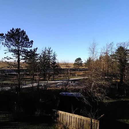 Seeperle 5, Stilvolle Fewo Mit Nordseeblick Appartement Sankt Peter-Ording Buitenkant foto